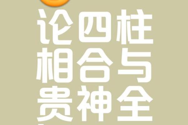 八字合3个字