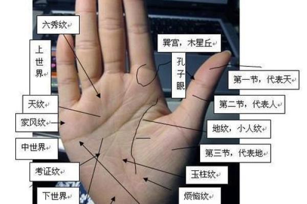 手相图解大全女右手算命 看手相算命图解女性右手