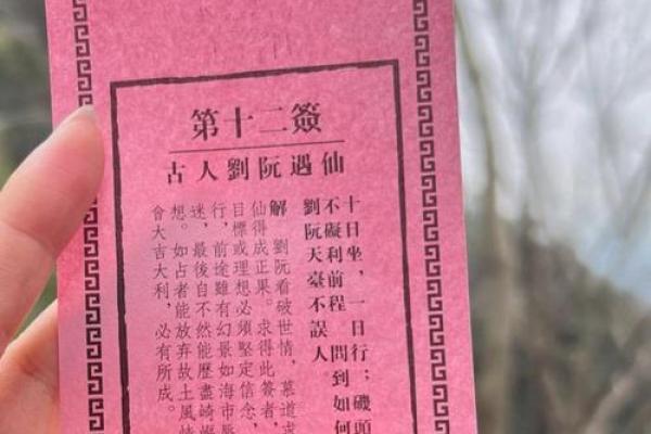 每日灵签13