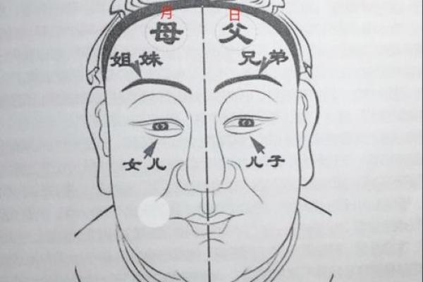 八字眉头的面相图解