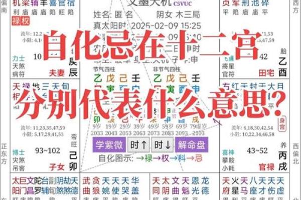 自紫薇斗数