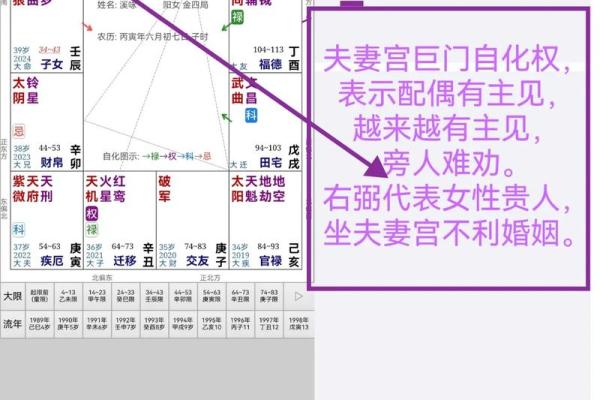 自紫薇斗数