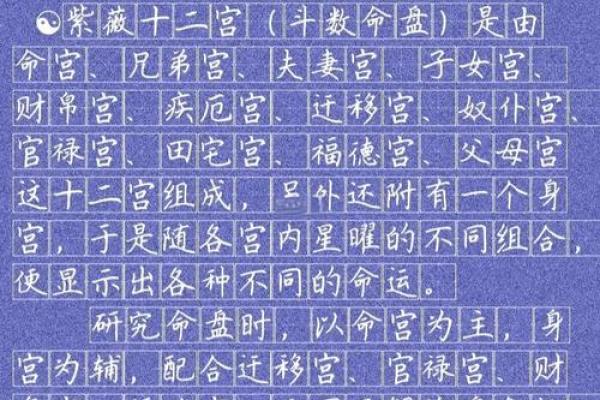 紫微斗数之：论疾厄