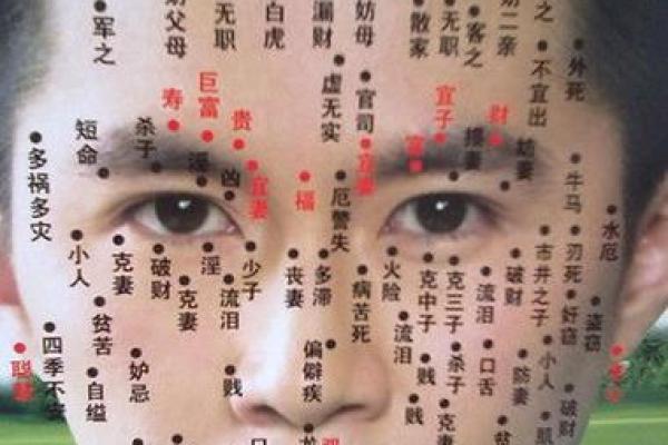 脸上黑痣算命图解吉凶
