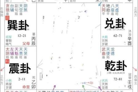 紫微斗数之八卦万物类象：巽卦详解