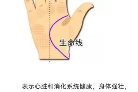 看手相算命生命线 手相图解生命线怎么看