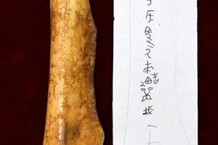算命骨头皮