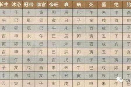 八字弱极