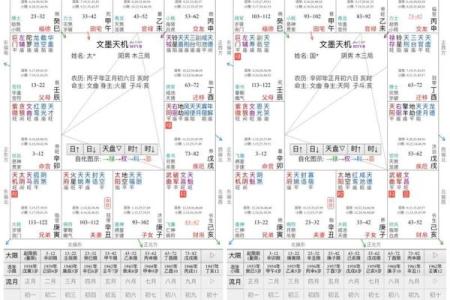 紫薇斗数的命盘怎么看