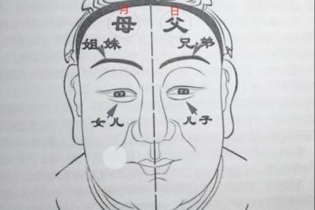 八字眉头的面相图解