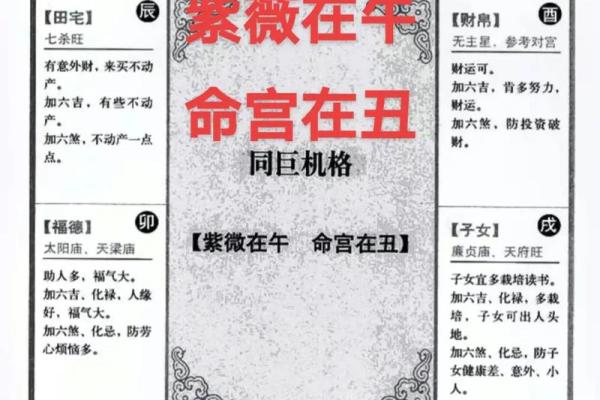 解紫薇斗数