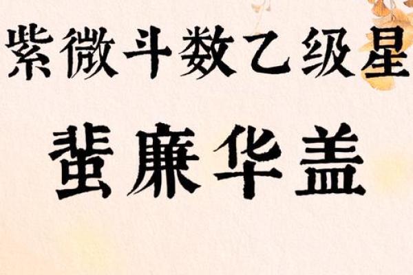 紫薇斗数中对拱是什么意思