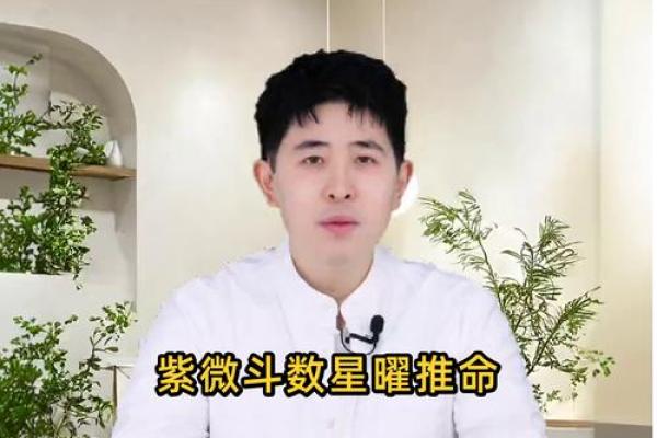 紫薇斗数真人算命