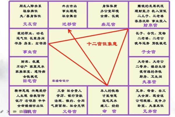 紫薇斗数实例详解视频