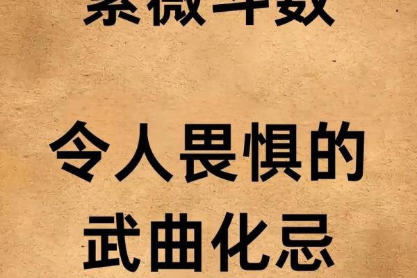 武广盛紫薇斗数