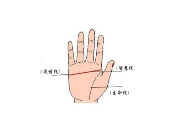 手相假断掌算命图解