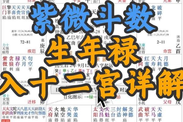 紫薇斗数不入格
