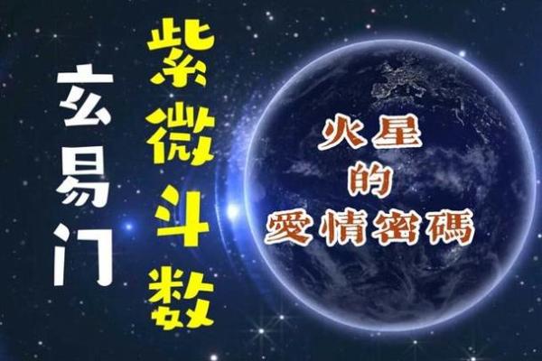紫薇斗数爱情占卜