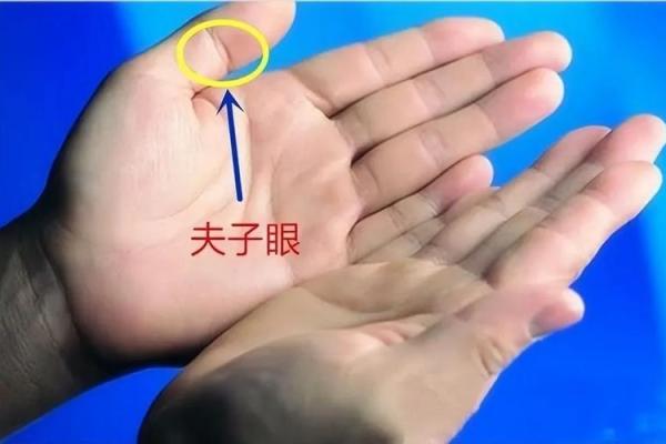 手相算命：假夫子眼的命运如何