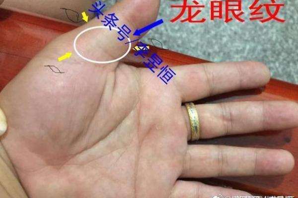 手相算命：假夫子眼的命运如何