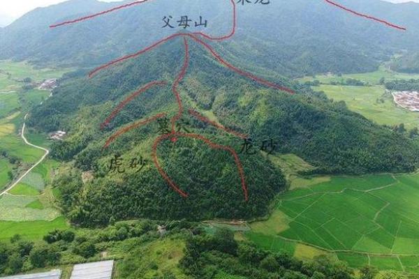 选墓地的最好风水是什么