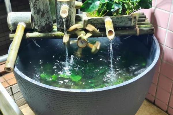 三的风水_鱼盆养几条鱼好