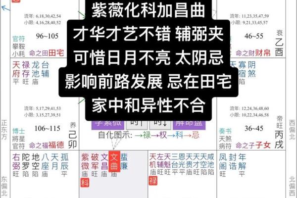 紫薇斗数旺平陷