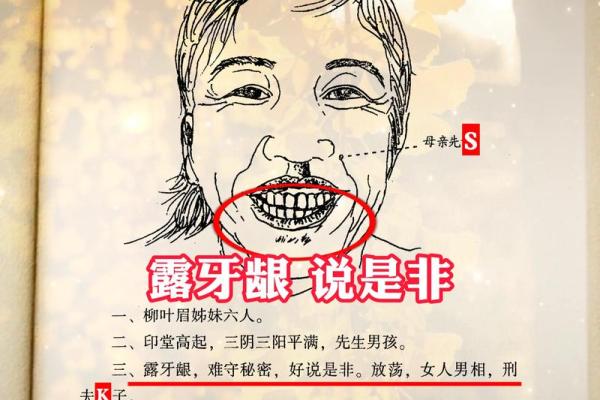 算命看面
