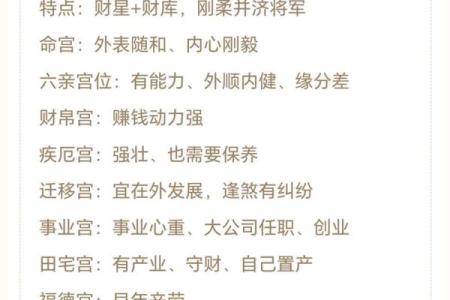 解紫薇斗数