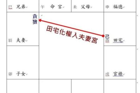 紫薇斗数看谁有豪宅