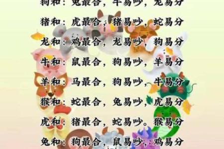 属相配对算命