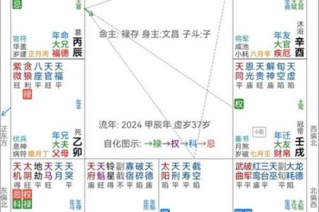 紫薇斗数流年怀孕