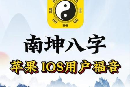 八字排宝盘