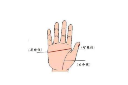 手相假断掌算命图解