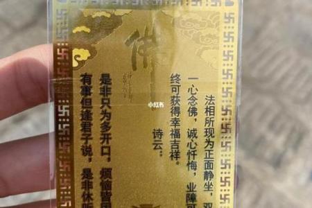 罗汉灵签325