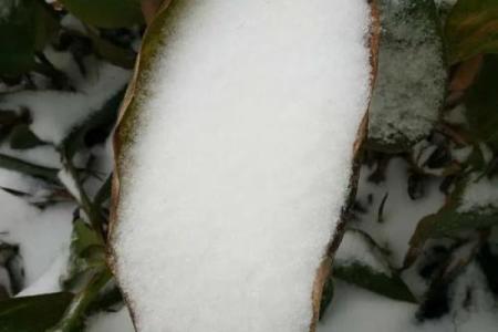 杂谈｜雪舞时节谈寂美，东方八字美学说尽美的奥妙