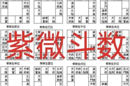 紫微斗数财帛宫破军入庙 财帛宫 破军？