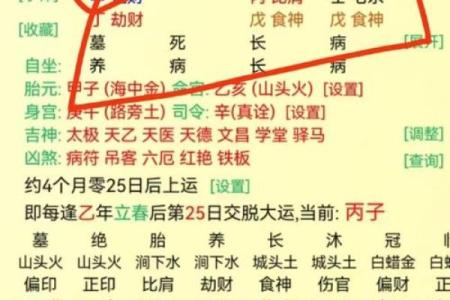 八字喜忌查询