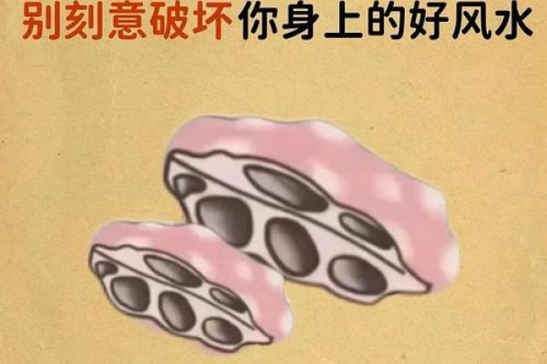 租房如何看风水-