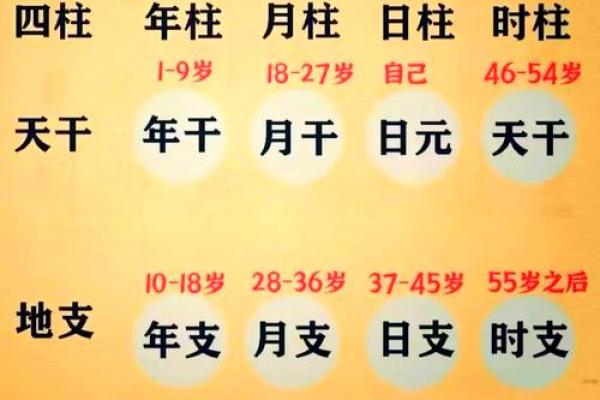 免费生辰八字算命详解