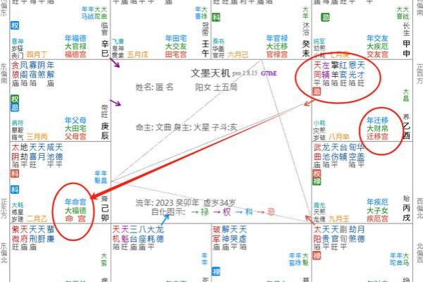 紫薇斗数中忌庙是什么意思