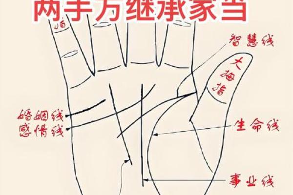 手相算命破解