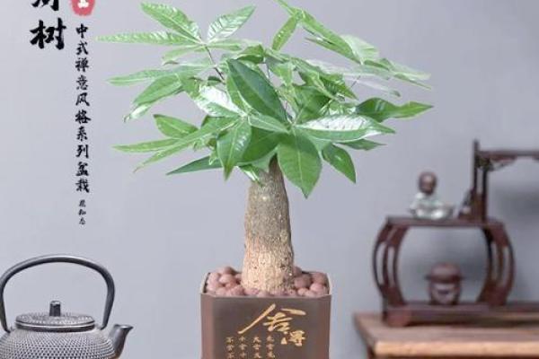 摆设风水_家居风水如何摆放能够招财