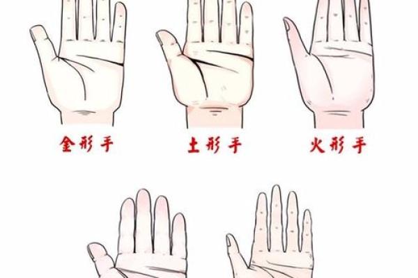 手型算命：木型人的性格与命运