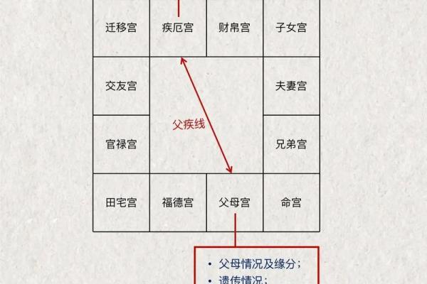 紫薇斗数阴阳五行生克制化