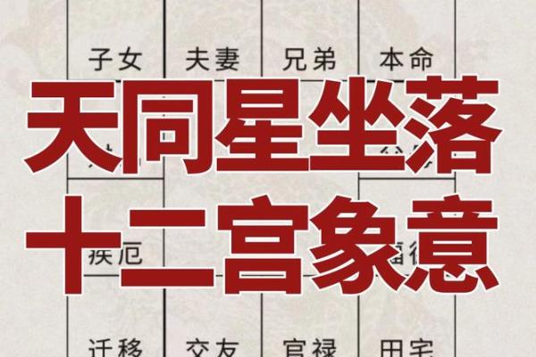 紫薇斗数紫薇分宫论