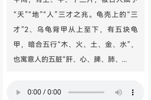 风水乌龟壳的功效与作用