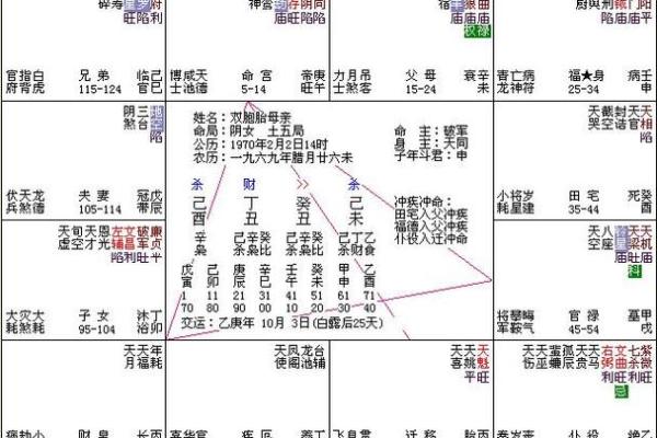 紫薇斗数先天命盘和大运命盘什么意思