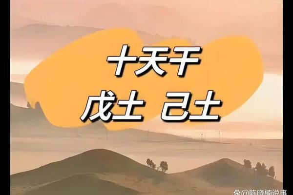八字天干同时有戊己土