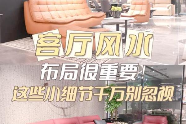 客厅风水装修，地面颜色的选择